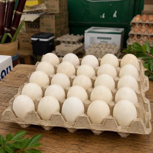 🦆 Fresh Farm Duck Eggs (20, Adds on only)
