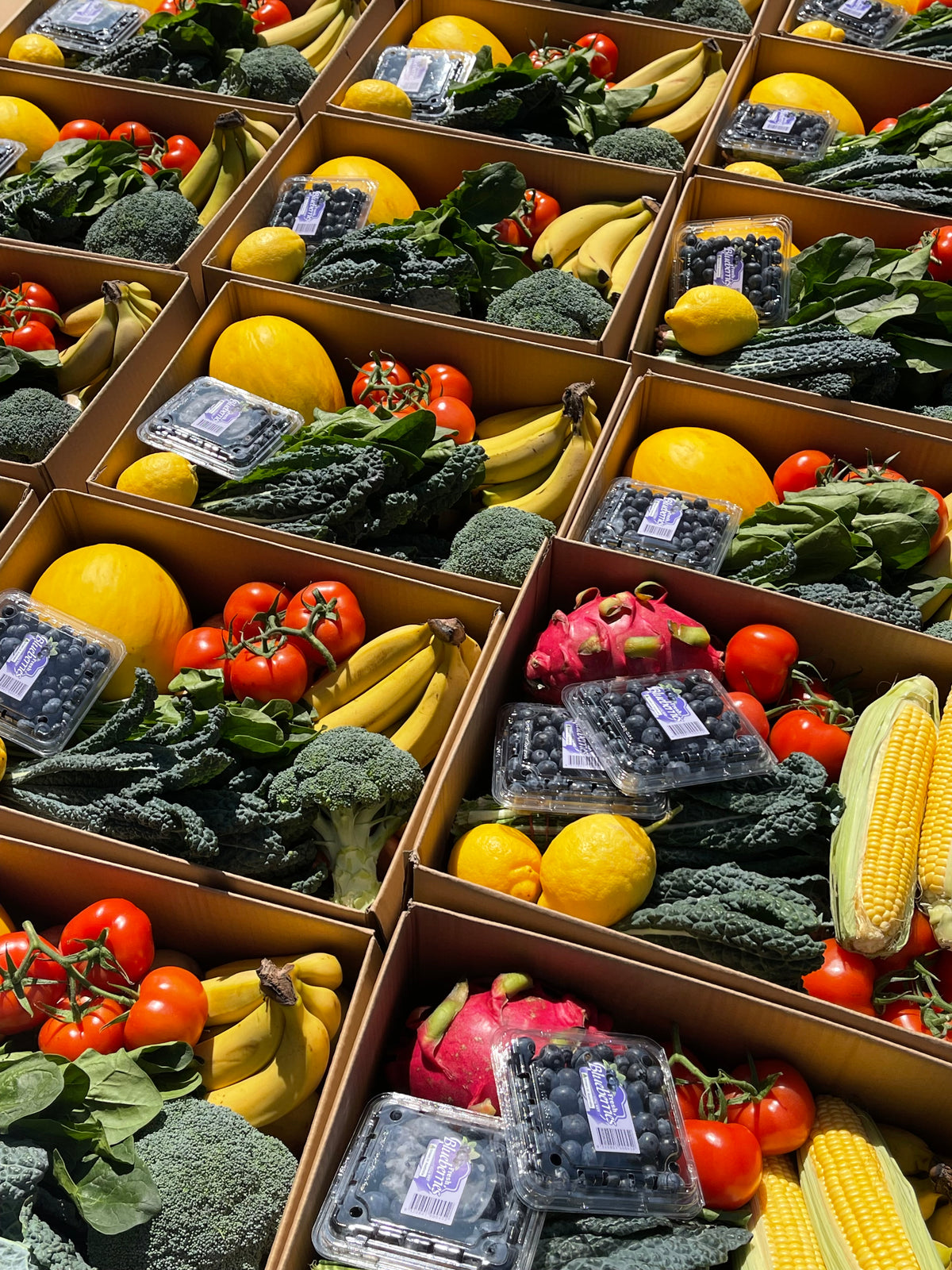 Family fresh fruit and veg box Sydney_3