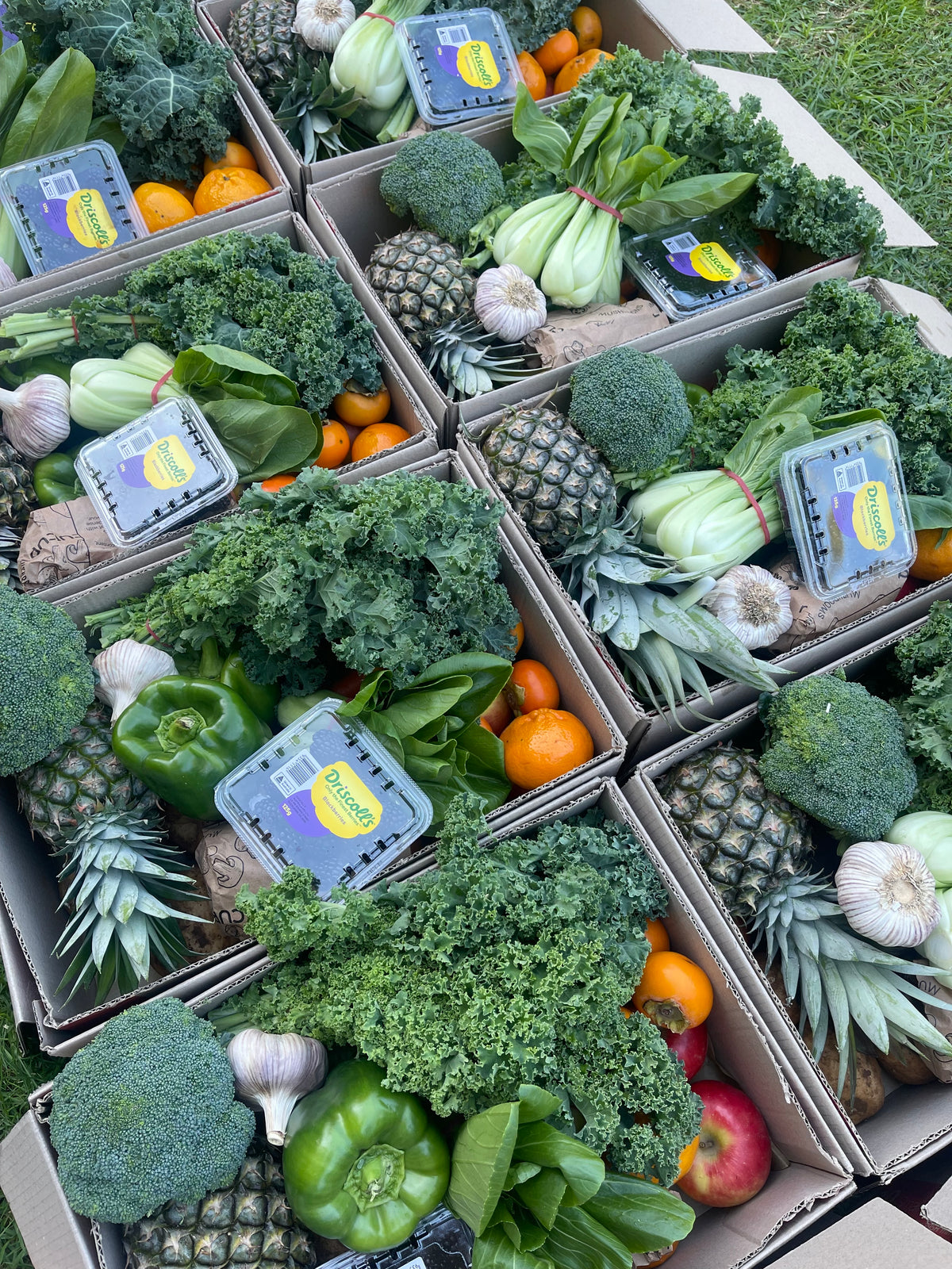 Family fresh fruit and veg box Sydney_9