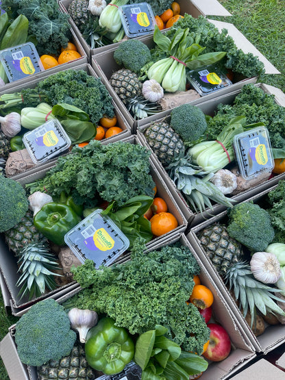 Family fresh fruit and veg box Sydney_9