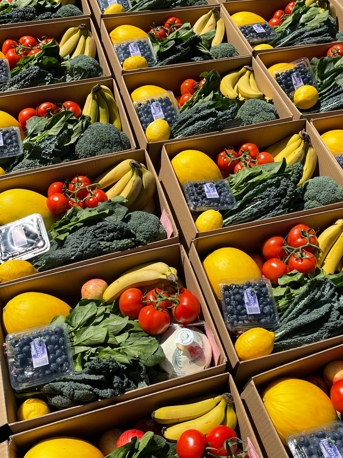 Small fresh fruit and veg box Sydney_3