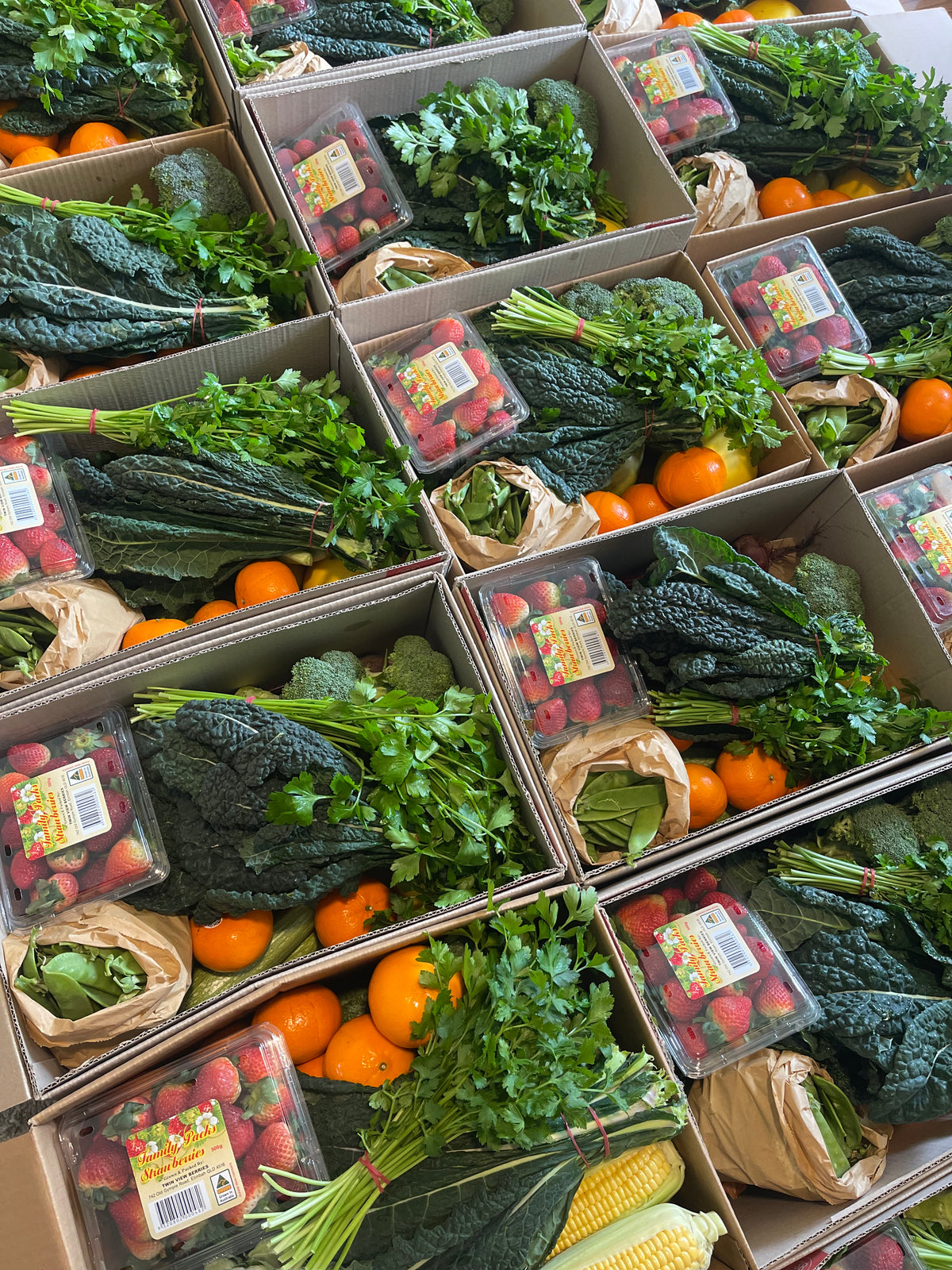 Small fresh fruit and veg box Sydney_4