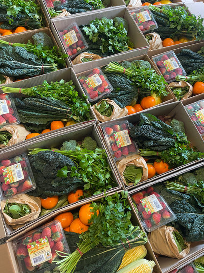 Small fresh fruit and veg box Sydney_4