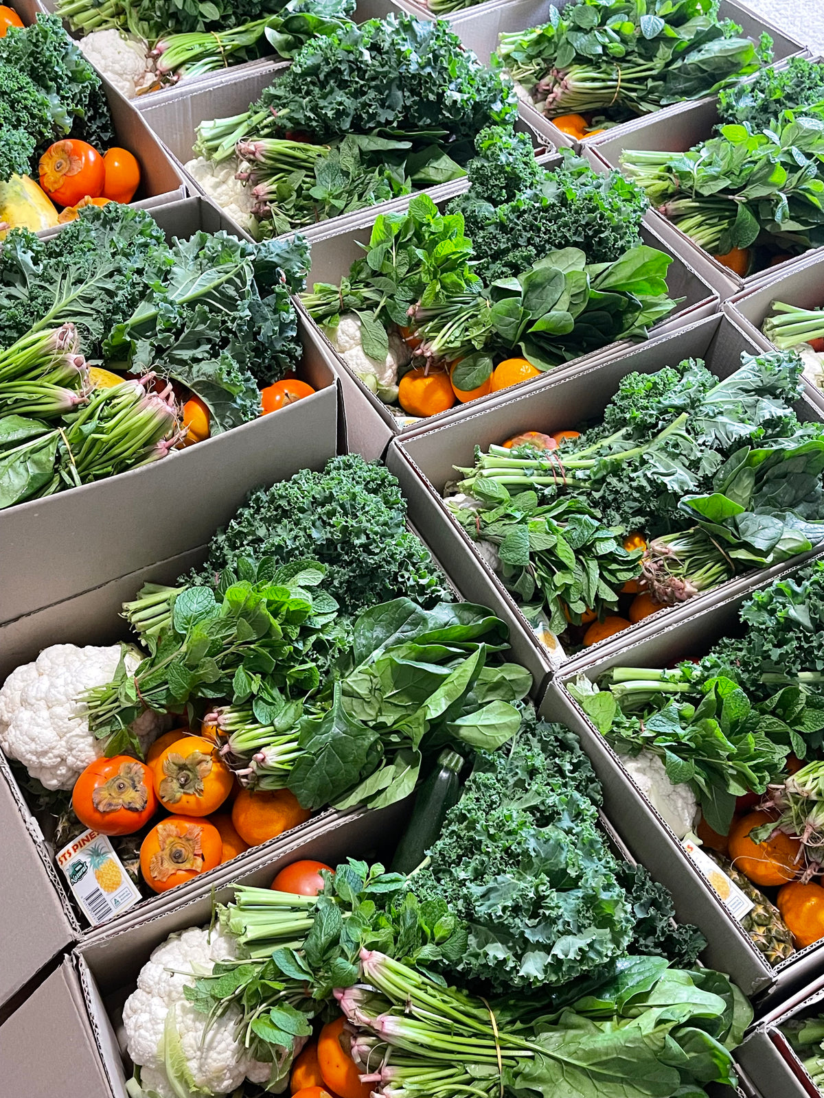 Small fresh fruit and veg box Sydney_5